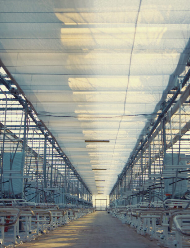 interior-empty-factory-room-with-technological-growing-devices-agro-manufacture-modern-SBI-350046012  Home 08 interior empty factory room with technological growing devices agro manufacture modern SBI 350046012 scaled 613x800